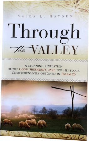 Through the Valley (paperback)